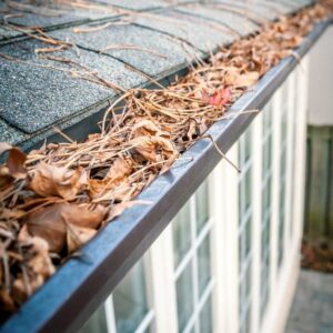 Gutter guard filled with leafs