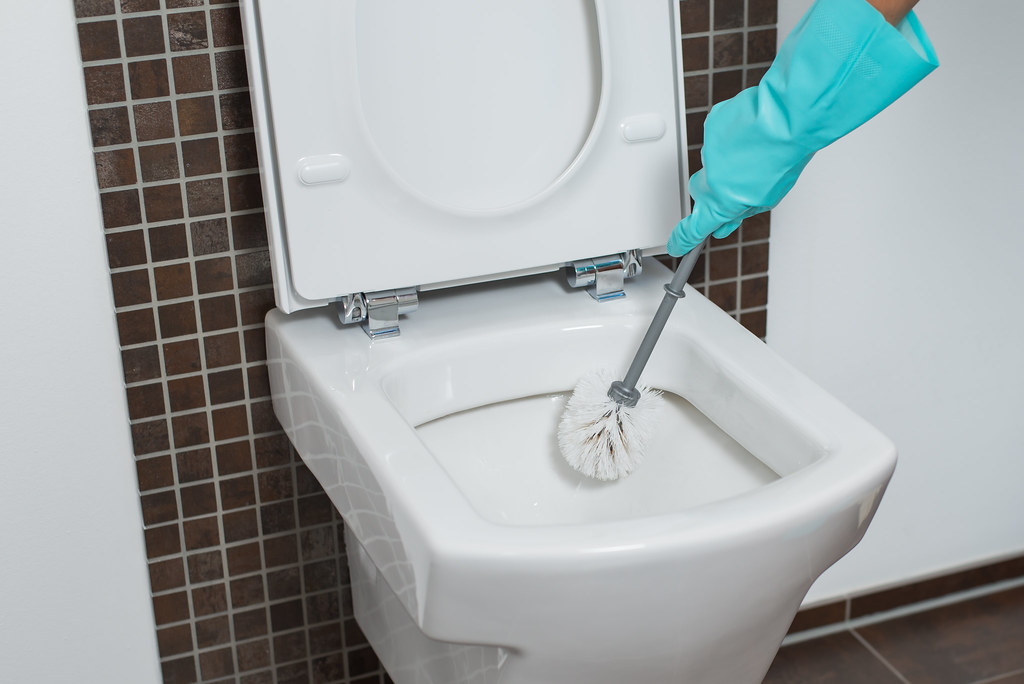 Using a toilet brush to unclog a toilet