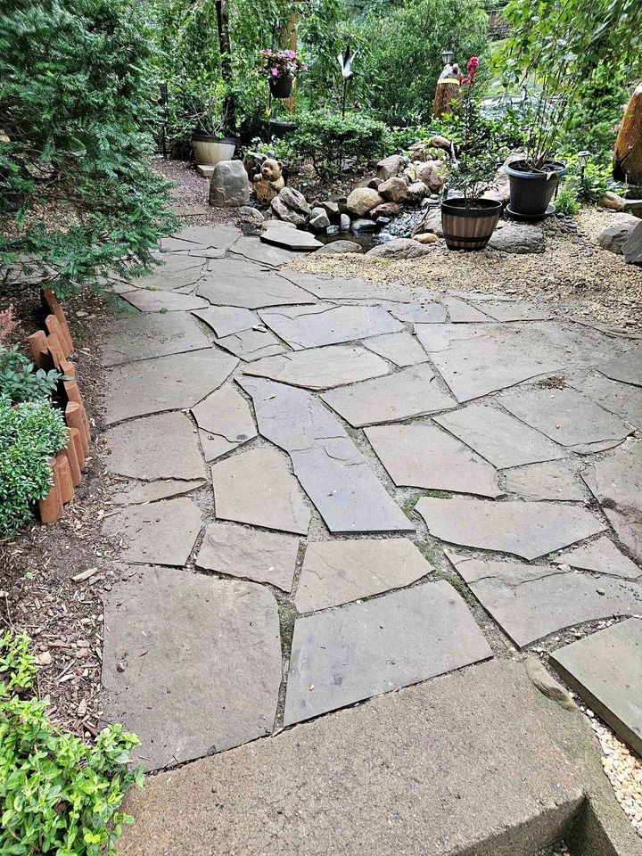 A stepping stone pathway in the back of the garden